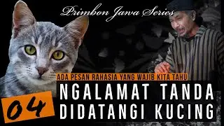 4 Ngalamat Tanda kita didatangi Kucing Versi PRIMBON JAWA