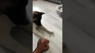 Leave it !