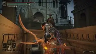 Elden Ring - Random gameplay clip 6