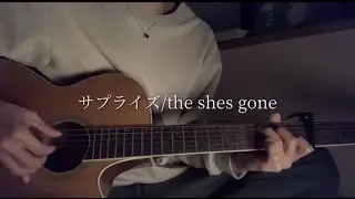 サプライズ/the shes gone 【大学生 ギター弾き語り カバー】