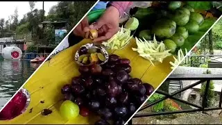 Mussoorie Lake। Mussoorie Jheel। Mussoorie tourist place। Uttarakhand