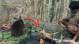 Primitive Technology Simple Rabbit Trap and Cook it With Survival Skills