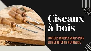 Ciseaux &agrave; bois : Conseils indispensables pour bien d&eacute;buter en menuiserie