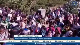 IDPs from Western Tigrai wish to return home soon