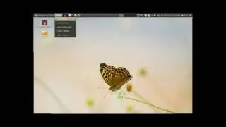 Video issues with Skype on UBUNTU 10.04 Beta FIXED