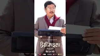 Degree Maila-4th Day Box Office Report || Dayahang Rai, Aanchal Sharma #youtubeshorts #dayahangrai