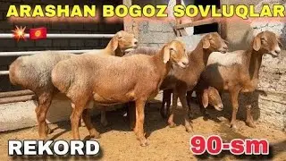 😱SHOK💥ARASHAN BÕĞOZ SOVLIQLAR💥YANGI PARTIYALAR YETIB KELDI NARHLAR OLDINGIDAN 500 MING ARZO EKAN😱😱😱😱