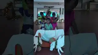 Pongal Celebration Star Play School Iyyappanthangal 9944505996