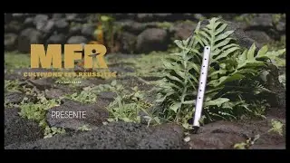 Vahine Ti'ama, Vahina toa (Clip officiel) MFR Vairao - Tahiti Projet Femmes libres et engagées