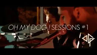Dog Guilty Party - OMD Sessions #1 - Waitin' looper
