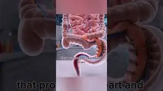 Grilled Fish Inside Your Body 🐟.#shorts #trending #science #viral