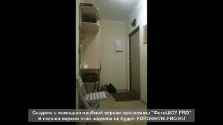 Милая евродвушка в ЖК Атланта-2
