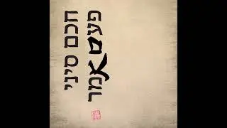 פרק אחת עשרה - ששת סוגי האקלים (הצ&rsquo;י) והמערכות