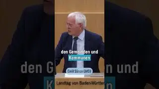 📉 30 Jahre Politikversagen &ndash; und jetzt jammern sie!