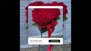 Flowers Delivery Online in India | Fresh Flowers for Every Occasion 🌸💐