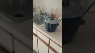 FTDI food prep