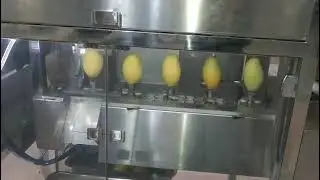 Mango Peeling & Pitting Machine