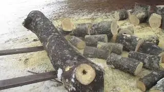Sawing some ugly fire wood rounds and bringing a load of wood to the boiler