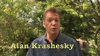 Alan Krashesky - Chicago Walk 2017
