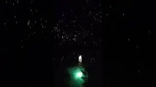 New Years Eve firework celebration!