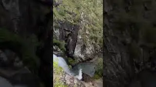 Chasing Waterfalls #mounttamborine #cedarcreekfalls