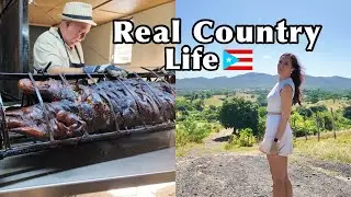 What Country Life Really Looks Like in Puerto Rico + Best Roasted Pig in Cabo Rojo