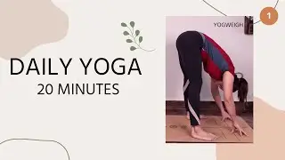 Easy Daily Yoga Flow | Just 20 Minutes