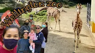 Wellington Zoo | New Zealand