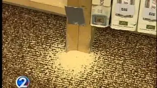 School gets help for termite problem