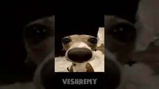 Veshremy Vs PackGod Song-Pack It Up (Veshremy, Topper Guild)
