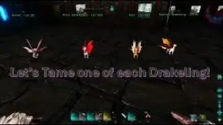 AKR Survival Ascendent with TA Drag Racer Let's Tame All The Drakelings