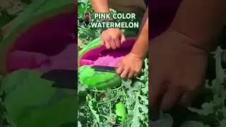 FIRST TIME IN MY LIFE TO THIS PINK COLOR WATERMELON#shortsvideo #brightpink #sopink #pinkstyle #top