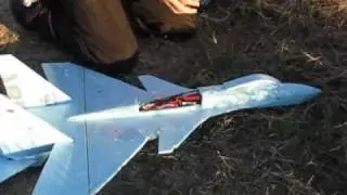 JG M16 AEG airsoft gun V.S. Su-35 RC plane