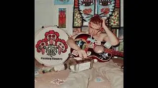 The Pushing Flowers - Gates of Heaven (Official Audio)