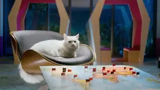 Котята и кошки  едим правильно — WHISKAS® К Т У