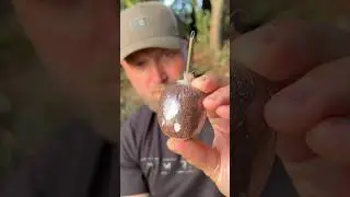 The FASTEST 💨 TIGHTEST 👌 & EASIEST Carp Fishing 🎣 PVA Bags EVER! 😱#carpfishing #carprigs