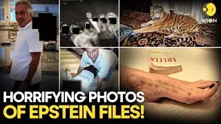 Epstein Files: Terrifying New Photos Emerge From The Jeffrey Epstein Estate | WION Originals