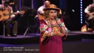 Mi Diccionario  - Amanda Portales