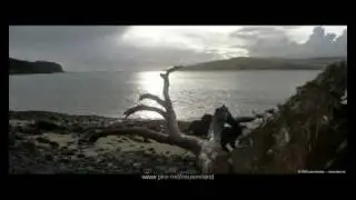 Neuseeland - New Zealand - Aotearoa: Reisebilder
