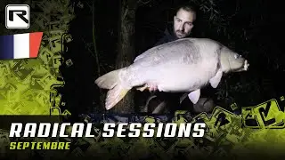 SEPTEMBRE - Radical Sessions