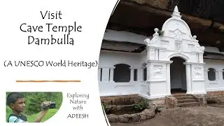 Exploring the Ancient Dambulla Cave Temple | Sri Lanka | A UNESCO World Heritage Site |