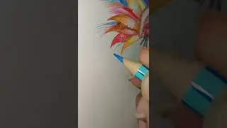 pencil colour drawing