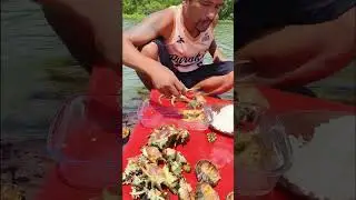 Sea Urchin Shells and Fresh Seafood Served with Rice