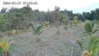 ‎17 ‎มกราคม ‎2569, ‏‎17:52:36  17686461337983