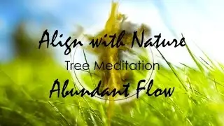 Align With Nature | Tree Meditation | Abundant Flow