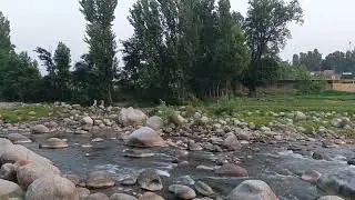River Siran Short  #foryou