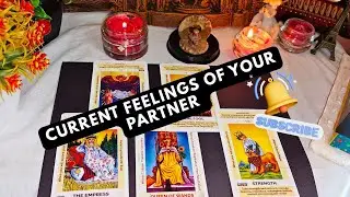 &ldquo;CURRENT FEELINGS OF YOUR PERSON❤️🔮&rdquo;#divinelove #tarot #tarotreading #universeguidance