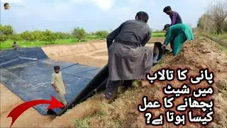 What is the process of sheeting in a pool of water?