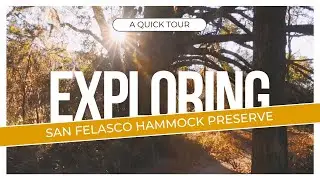 Exploring San Felasco Preserve: Florida's Hidden Nature Escape!