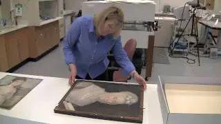 BUFFALO STATE ART CONSERVATION presents...ALUMNI STORIES: THE COLONIAL WILLIAMSBURG FOUNDATION